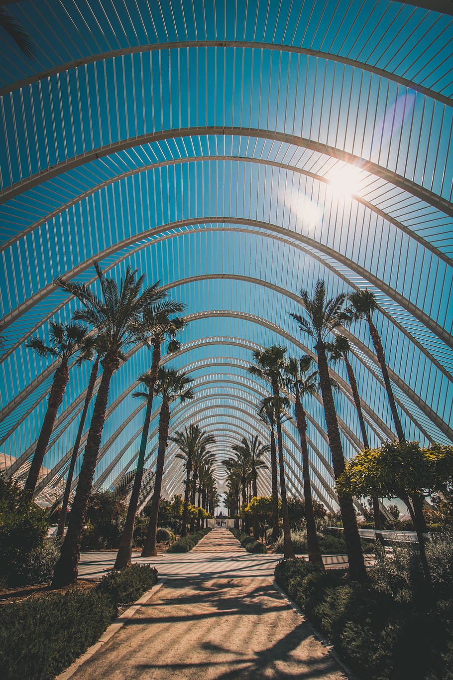green palm trees during daytime, plant, direction, tropical climate HD wallpaper