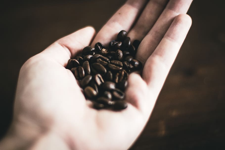 germany, cologne, hands, people, coffeebeans, dark wood, table HD wallpaper