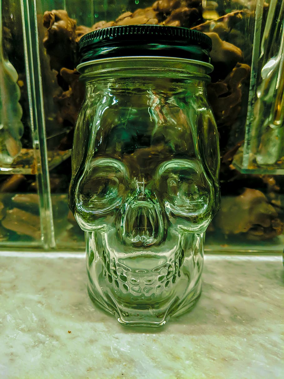 skull, jar, glass, glass - material, transparent, table, close-up HD wallpaper
