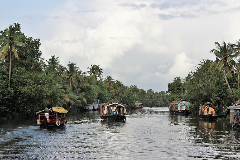 houseboats, backwaters, kerala, tree, plant, waterfront, transportation, HD wallpaper