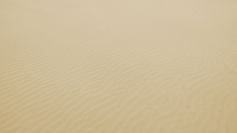 white, sand, beach, coast, nature, outdoor, backgrounds, full frame HD wallpaper