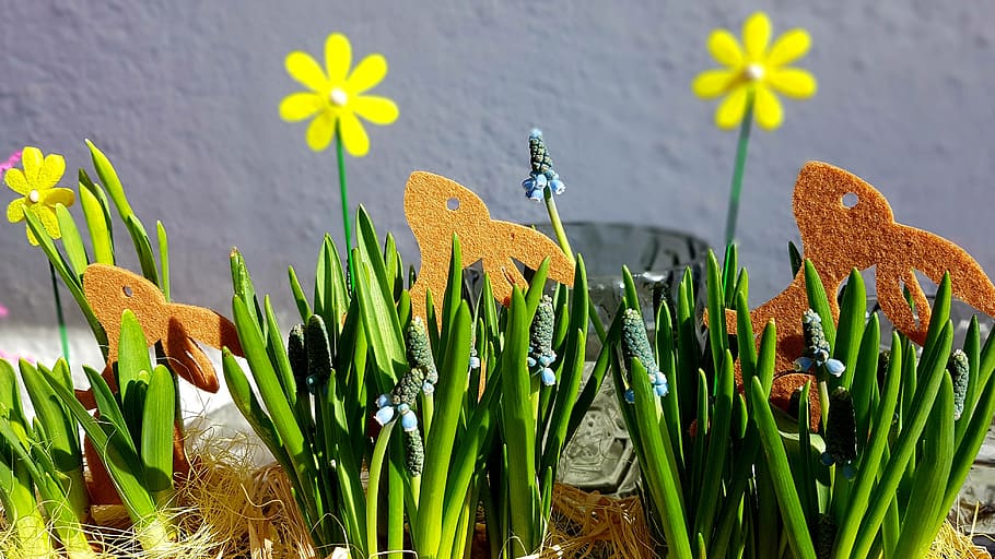 easter, spring, easter bunny, felt, muscari, deco, easter decorations HD wallpaper