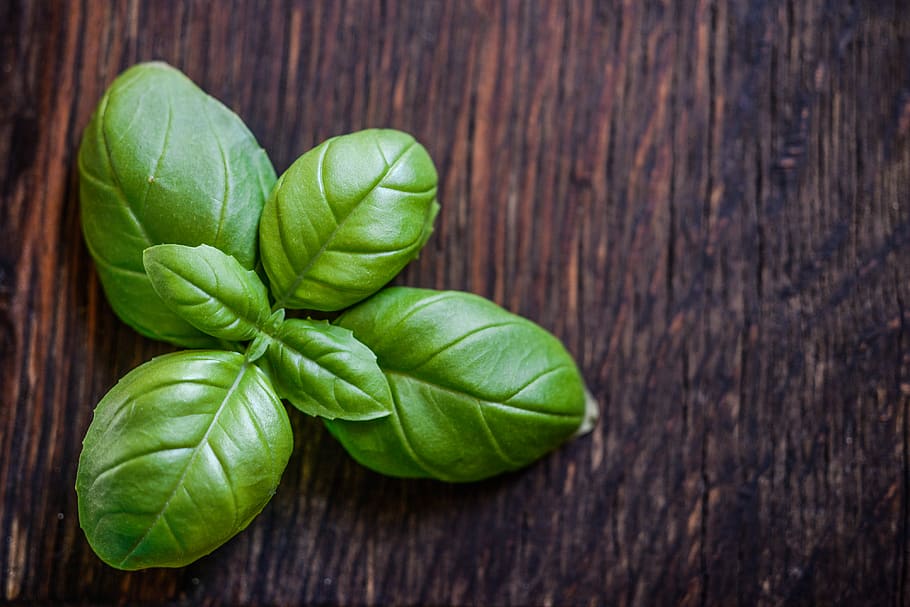 Green Leaf Plant on Brown Wooden Surface, basil, fresh, herb HD wallpaper