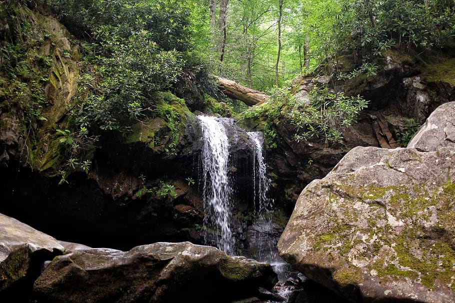 waterfall, green, hike, mountains, smokey mountains, grotto falls HD wallpaper