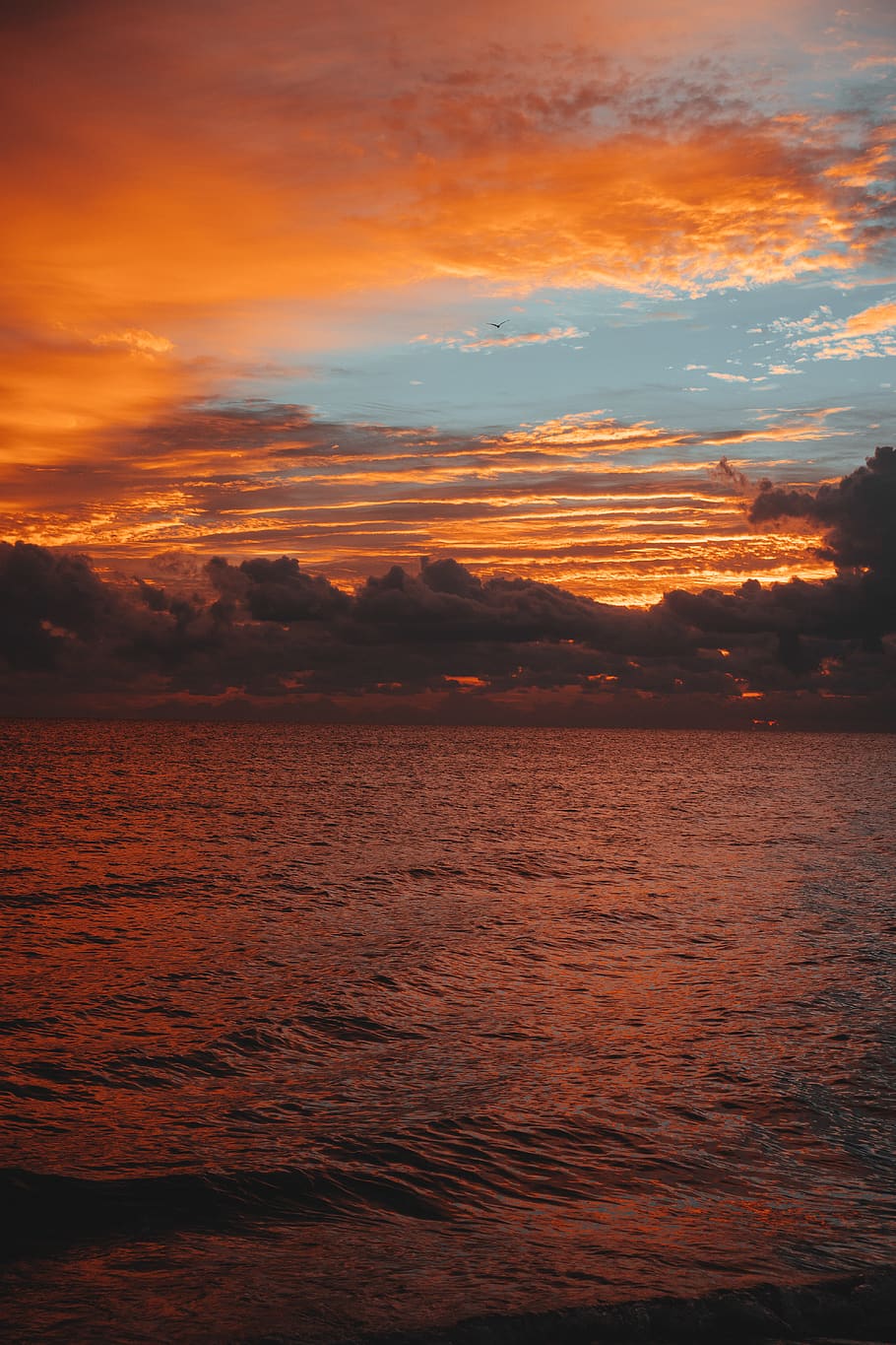 nature, outdoors, dawn, sunset, sky, dusk, red sky, sunlight HD wallpaper