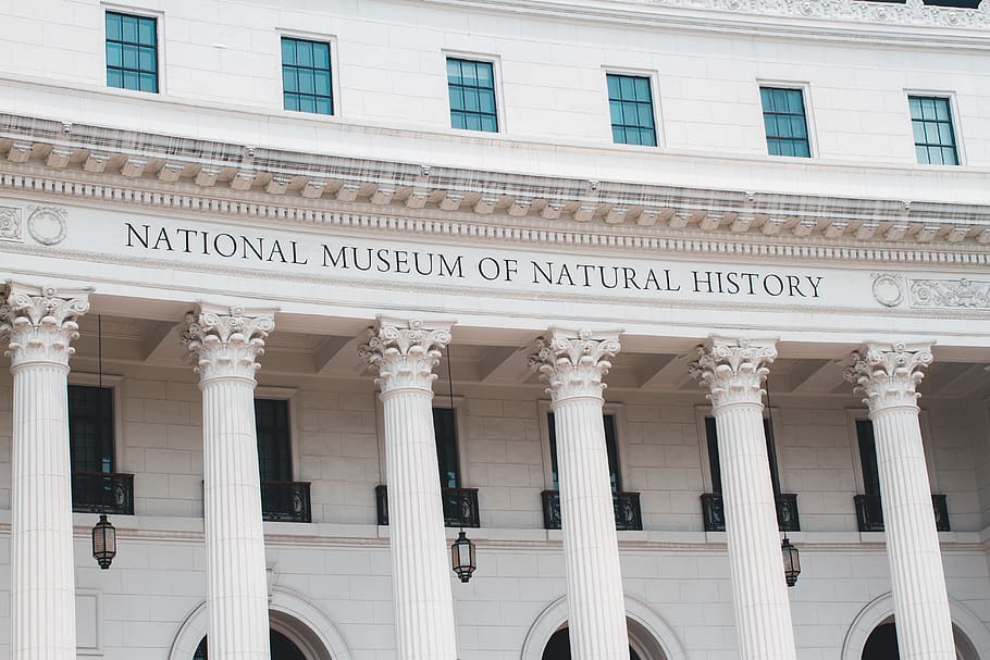 museum, exterior, building, architecture, built structure, building exterior HD wallpaper