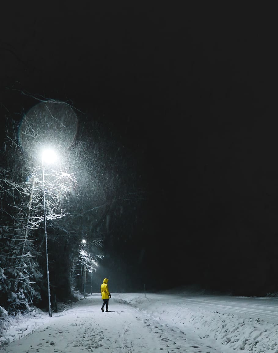norway, larvik, light, street, trees, winter, yellow, jacket HD wallpaper