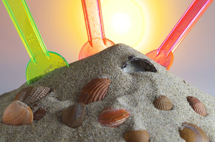 sand, spoon, shell, sunshine, studio shot, close-up, no people HD wallpaper