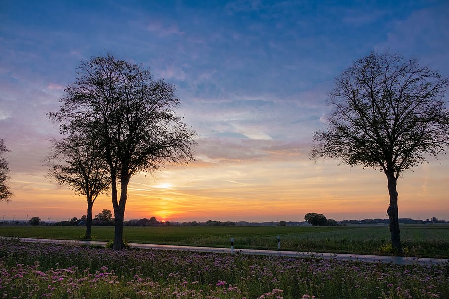 road, abendstimmung, landscape, sunset, twilight, atmosphere HD wallpaper