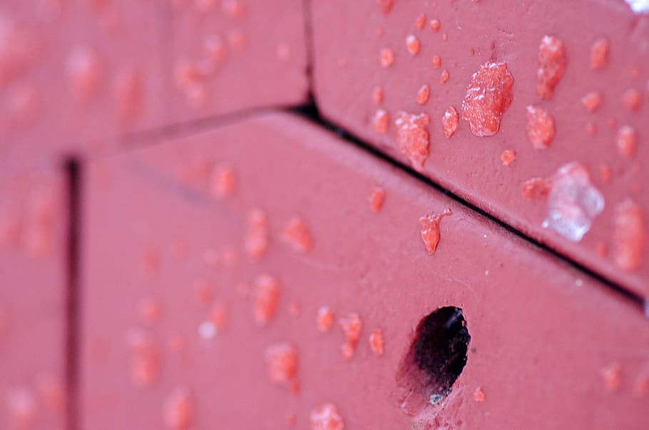 hole, macro, ice, droplet, paper, purple, wood, invertebrate HD wallpaper