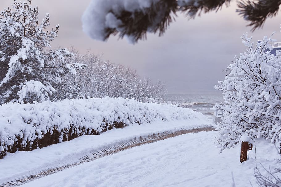 winter, snow, wintry, snowy winter, snowy path, wintry way HD wallpaper