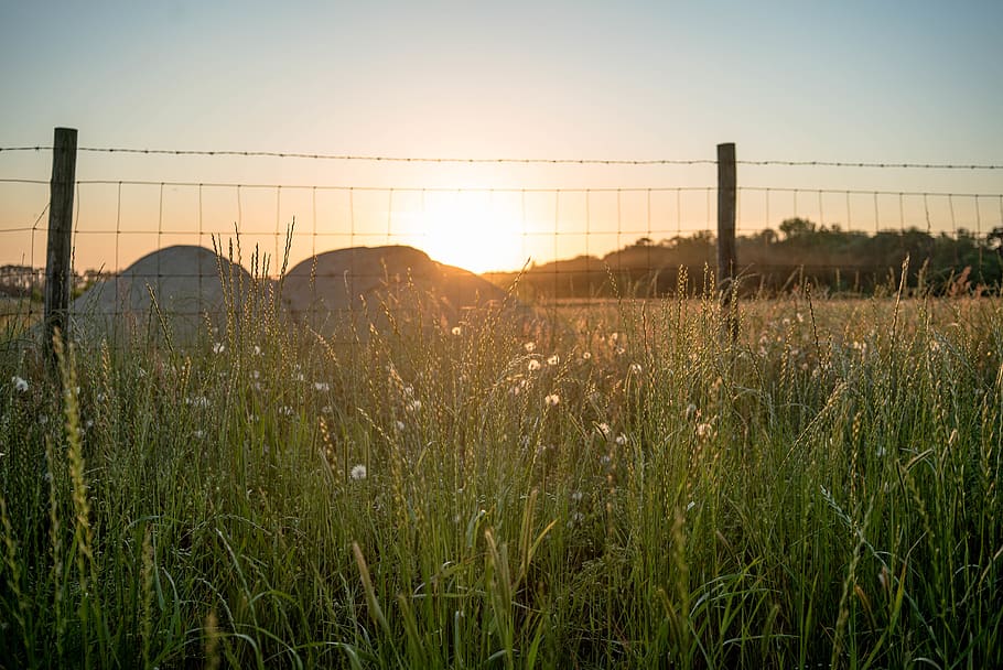 grass, plant, flare, light, fence, sunlight, field, sunset HD wallpaper