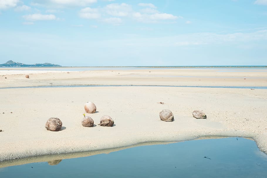 thailand, ko samui, colour, yellow, sea, pose, blue, beach HD wallpaper