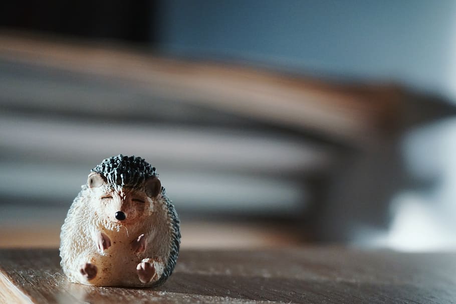 hedgehog, miniature, macro, toy, indoor, childhood, figurine HD wallpaper
