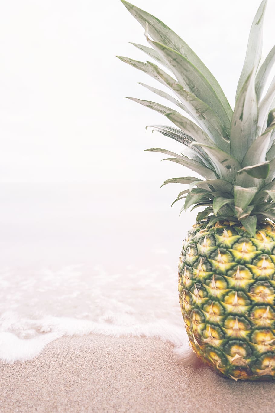 pineapple, dessert, appetizer, fruit, juice, crop, beach, ocean HD wallpaper