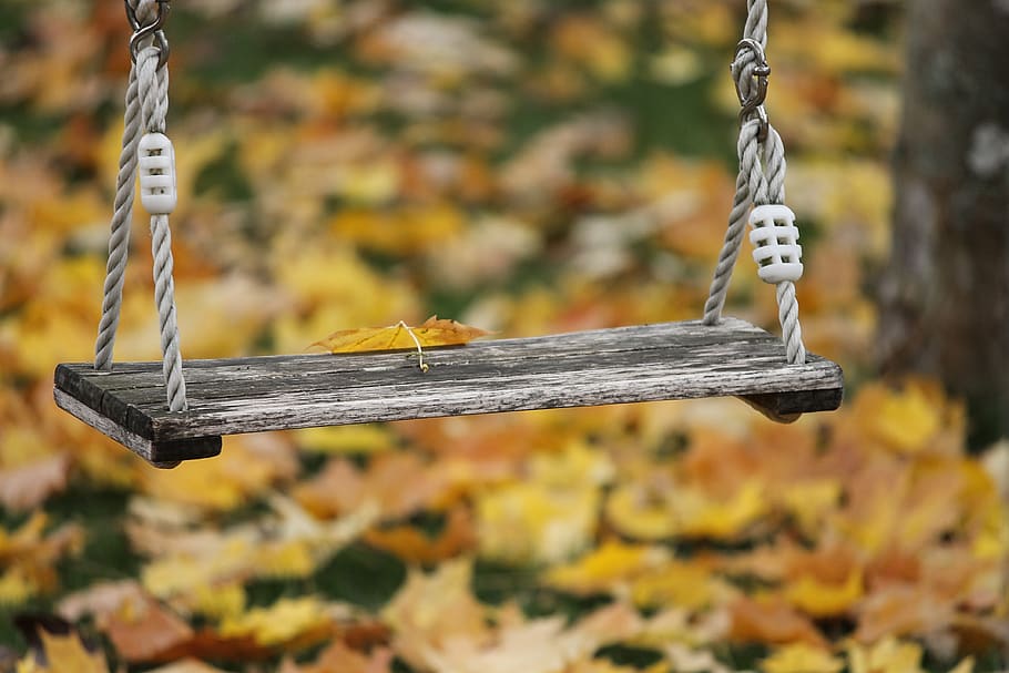 swing, children, playground, garden, ropes, board, wood, autumn HD wallpaper