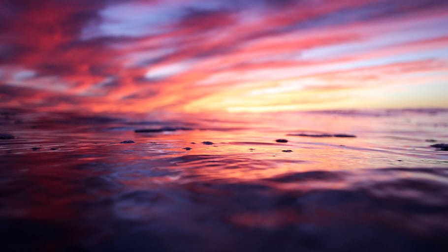 shell beach, wave, ocean, water, yellow, california, red, sherbet HD wallpaper