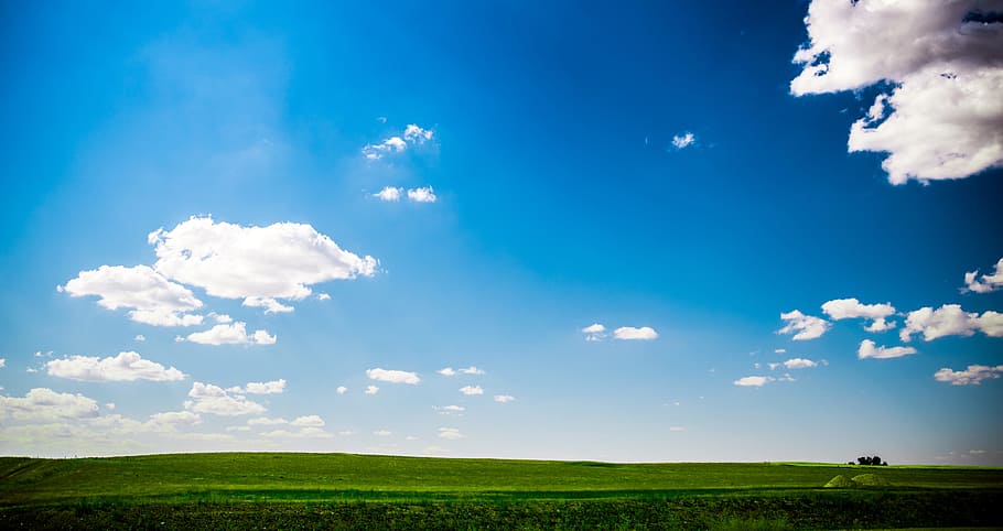sunny, landscape, green grass, blue sky, sly, clouds, scenery HD wallpaper