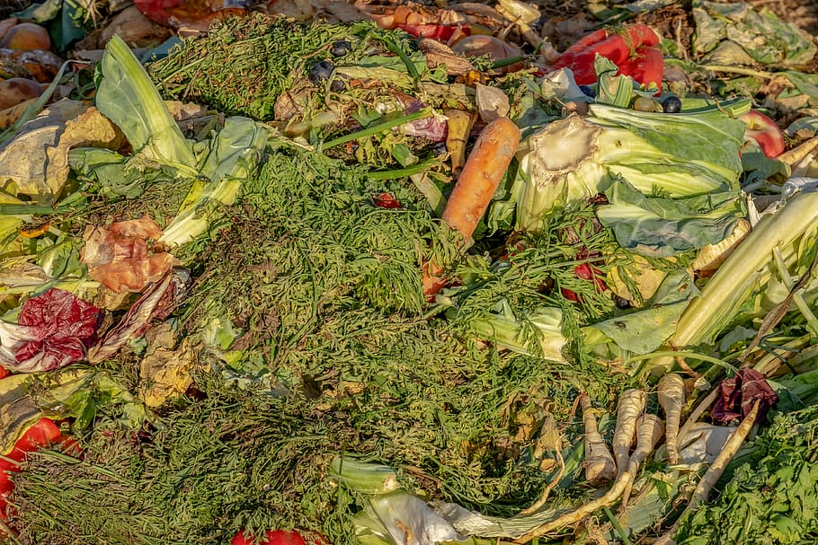 compost, garbage, biological, waste, fruit, vegetables, recipes with leftovers HD wallpaper