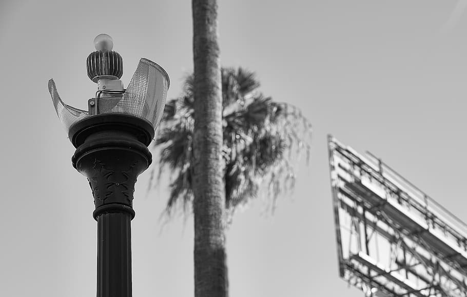 low angle view, sky, clear sky, nature, street light, built structure HD wallpaper