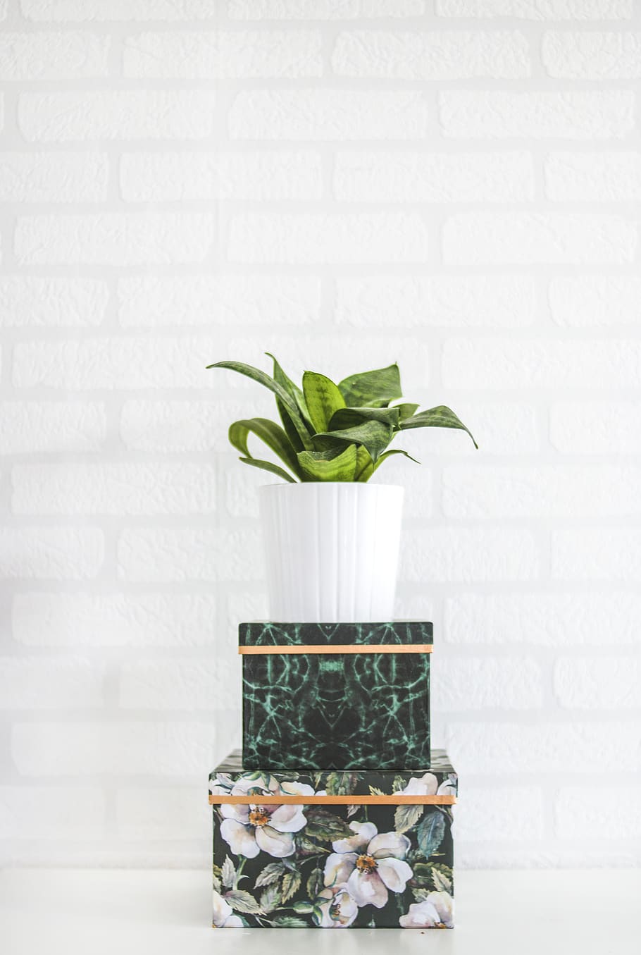 Potted Green Plant Near Wall, boxes, brickwall, color, design HD wallpaper