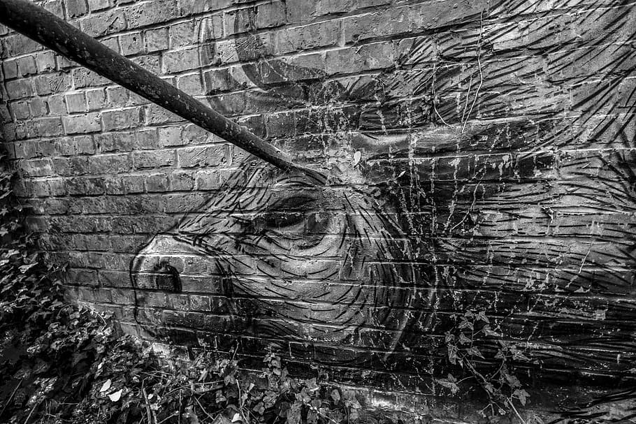 urbex, graffiti, wall - building feature, brick wall, day, no people HD wallpaper