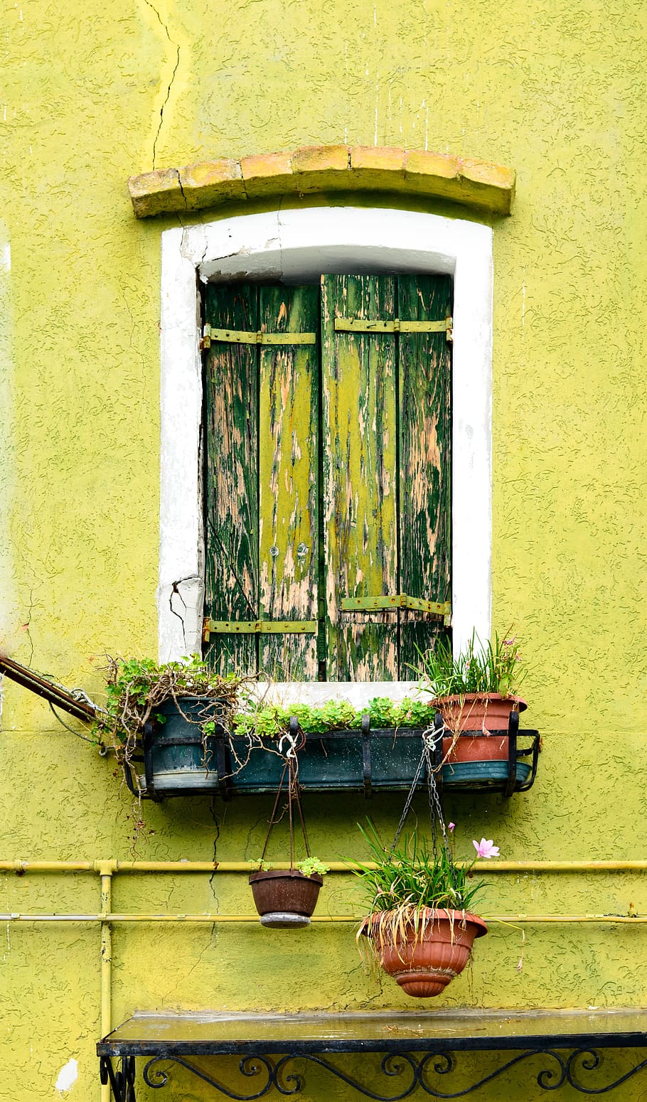 window, balcony, green, construction, wall, built structure HD wallpaper