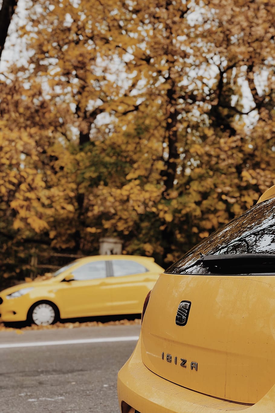 yellow SEAT Ibiza parked on roadside, vehicle, transportation, HD wallpaper