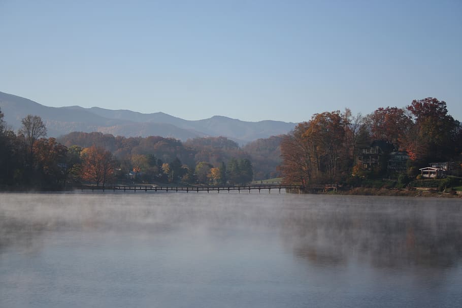 water, tree, fall, nature, lake, fog, landscape, panoramic HD wallpaper