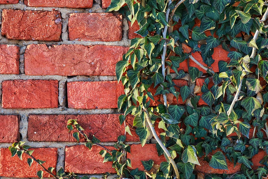 spring, sun, day, countryside, light, weather, wall, brick wall HD wallpaper