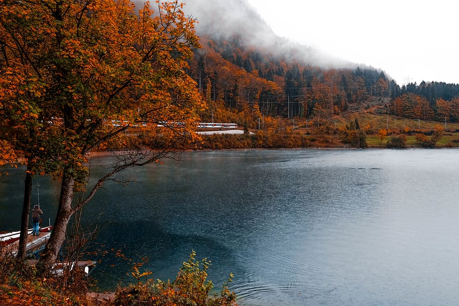 trees, lake, forest, mountain, fisherman, train, mist, autumn HD wallpaper