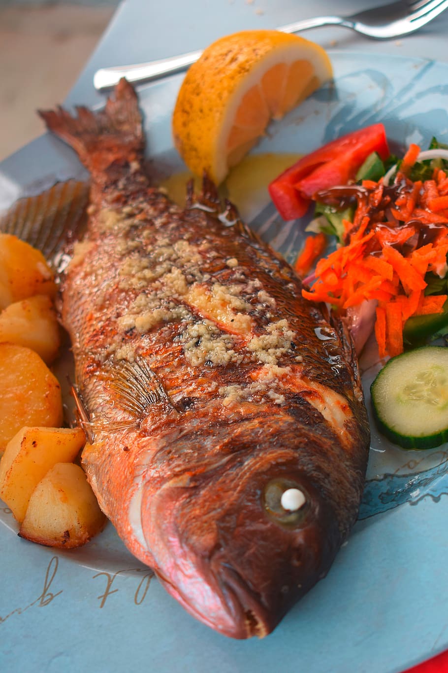 hd-wallpaper-fish-sea-bream-eat-food-healthy-court-tasty-main