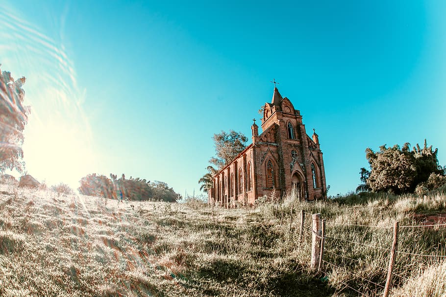 spire, architecture, tower, building, steeple, plant, tree HD wallpaper
