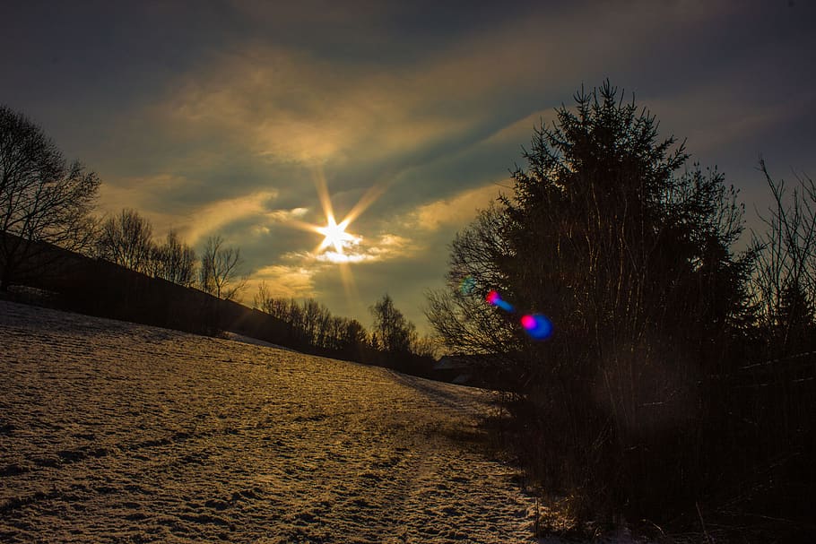 sonnenstern, winter, wintry, landscape, sun, backlighting, sunbeam HD wallpaper