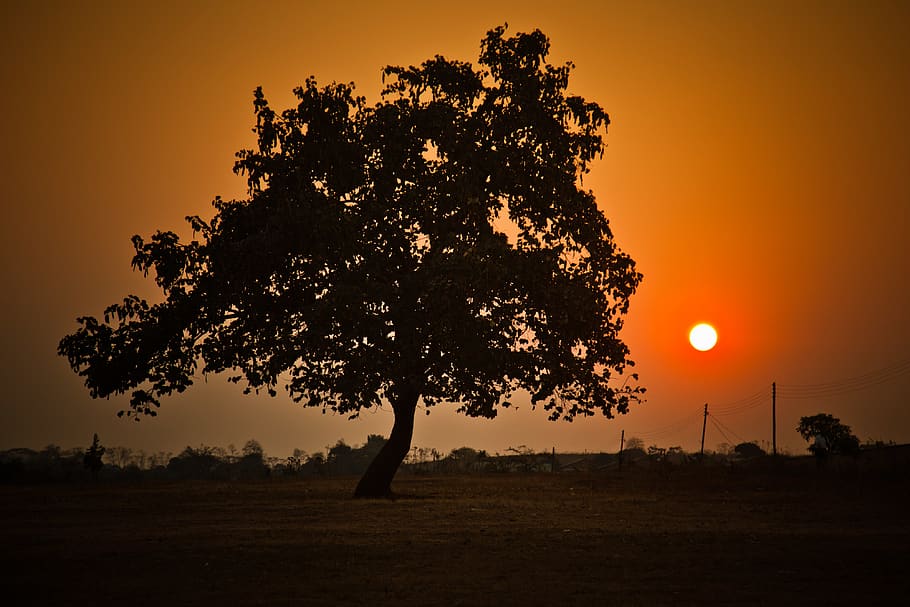 sunset, silohette, silhouette, orange, africa, landscape, sky HD wallpaper
