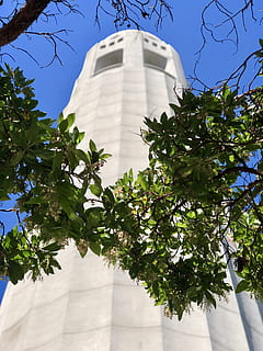 building, tower, architecture, san francisco, plant, tree, 1 telegraph hill blvd HD wallpaper