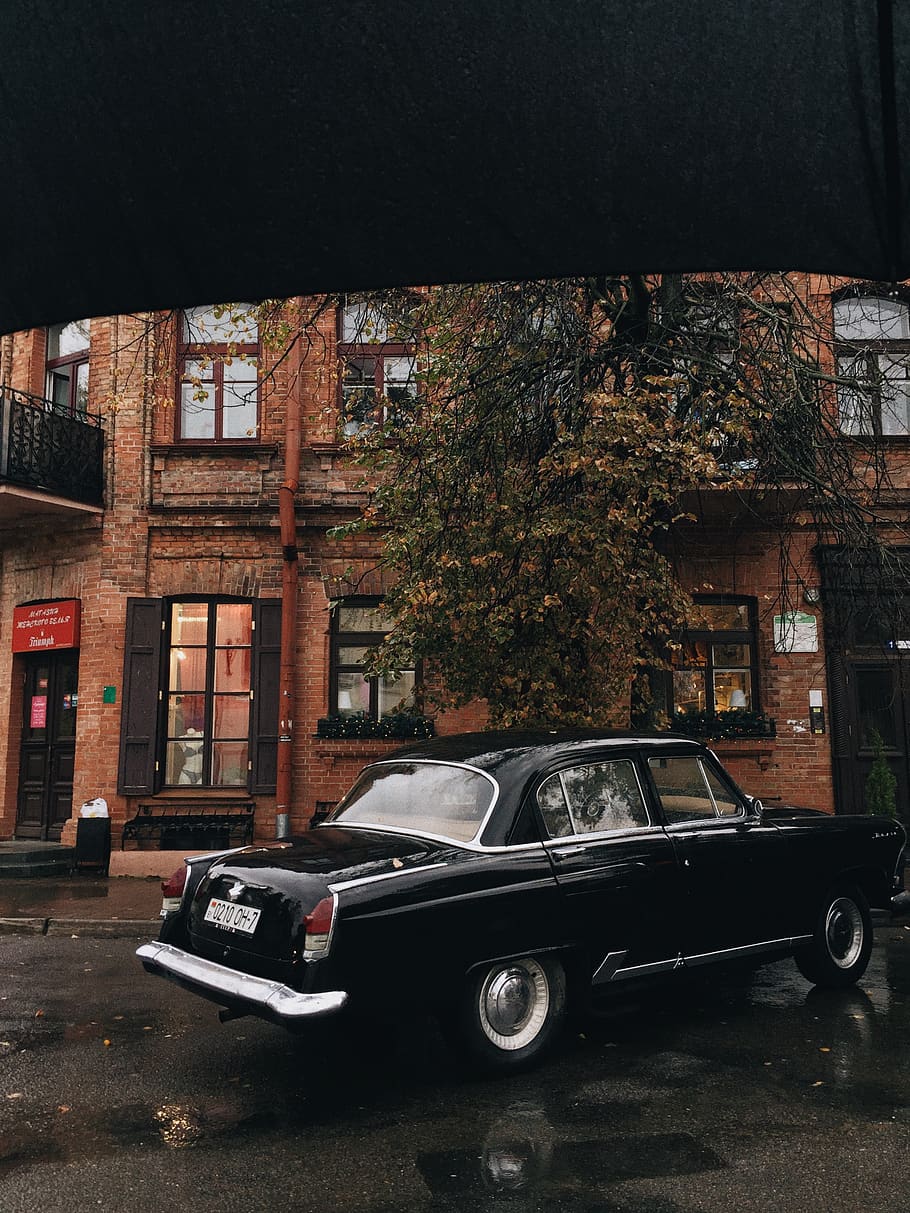 Black Sedan Parked Under Tree, auto, automotive, building, car HD wallpaper