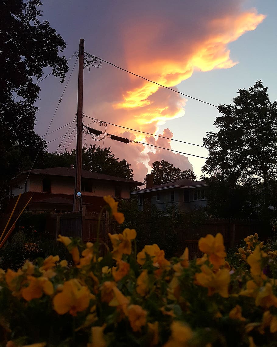 thunderstorm, backyard, flowers, clouds, sunset, plant, architecture HD wallpaper