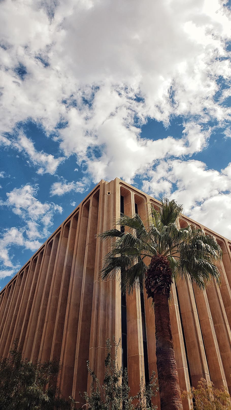 cloud - sky, architecture, built structure, tree, low angle view HD wallpaper