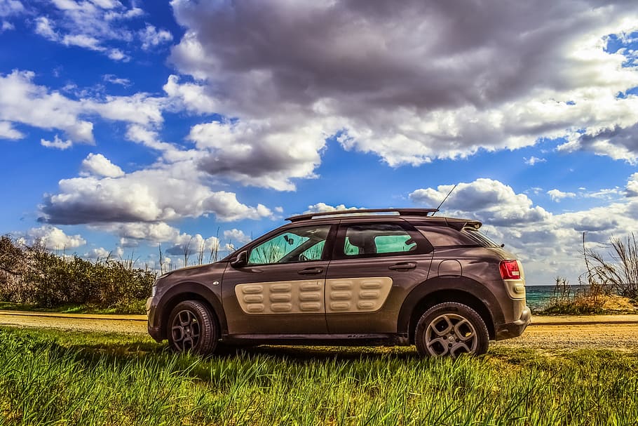 Gray and Beige Suv on Grass Field, automobile, car, citroen, clouds HD wallpaper