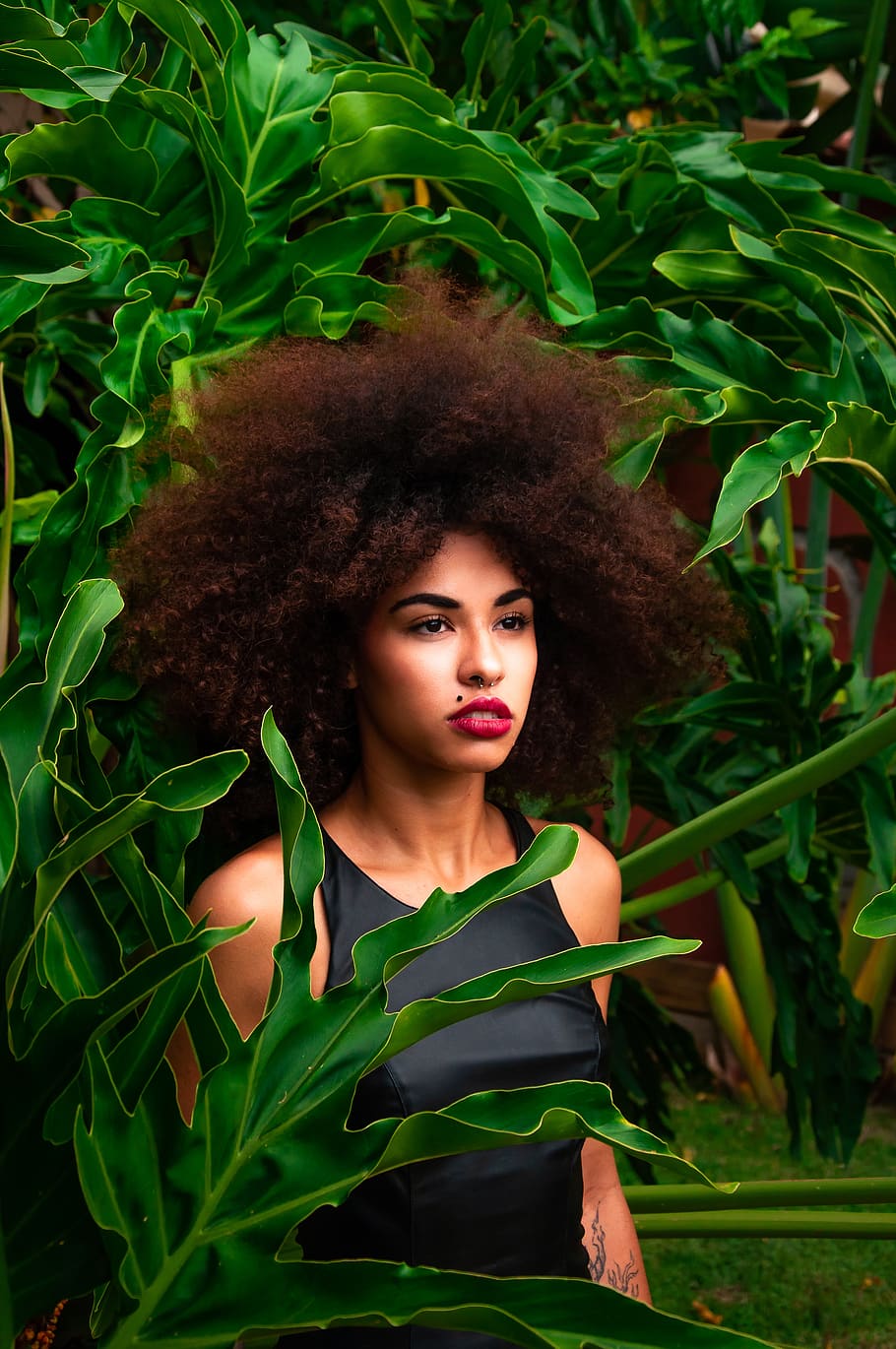 Woman Standing Near Green Leaf Plants, afro, attractive, beautiful, HD wallpaper