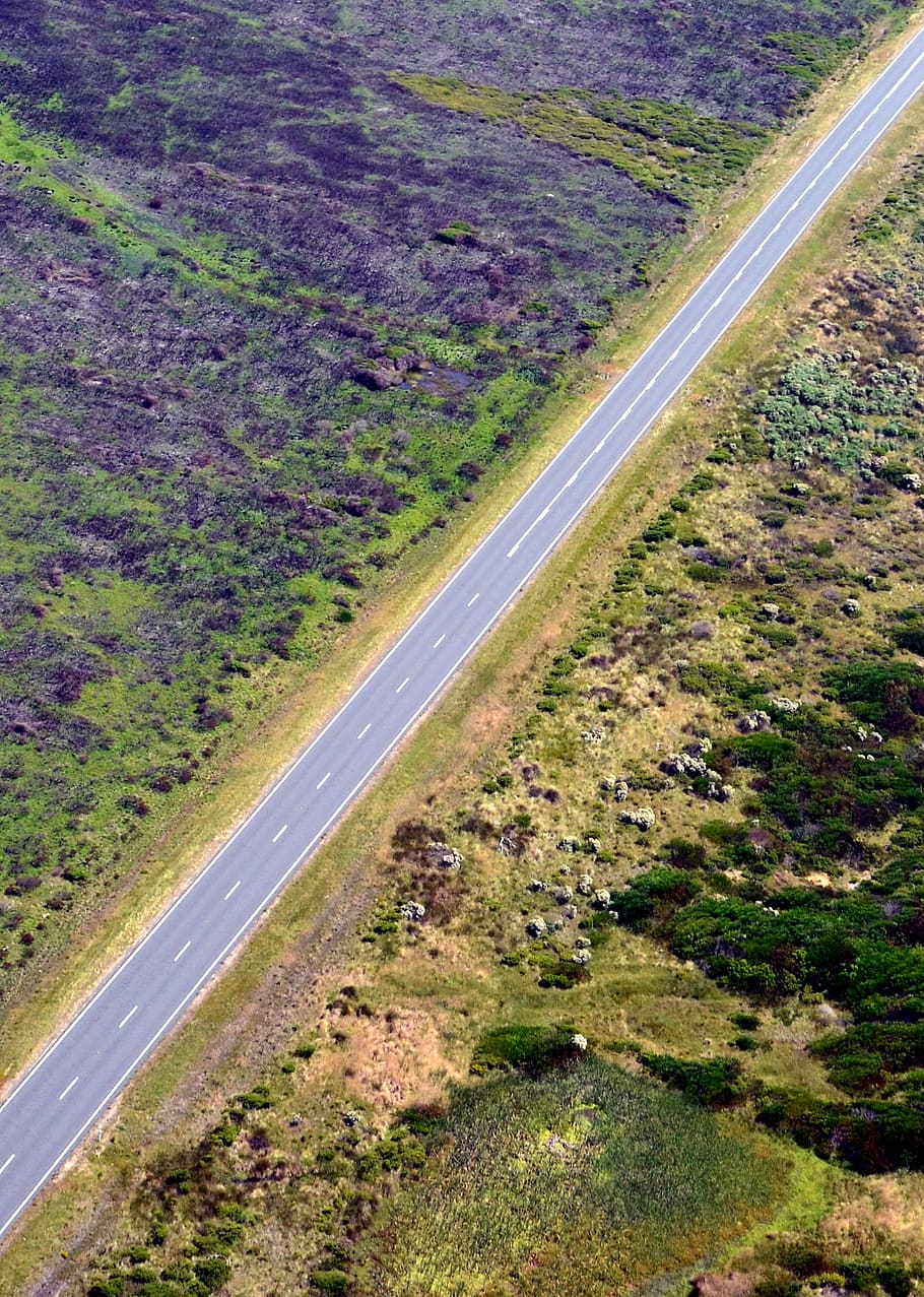 road, aerial view, transportation, plant, no people, landscape HD wallpaper