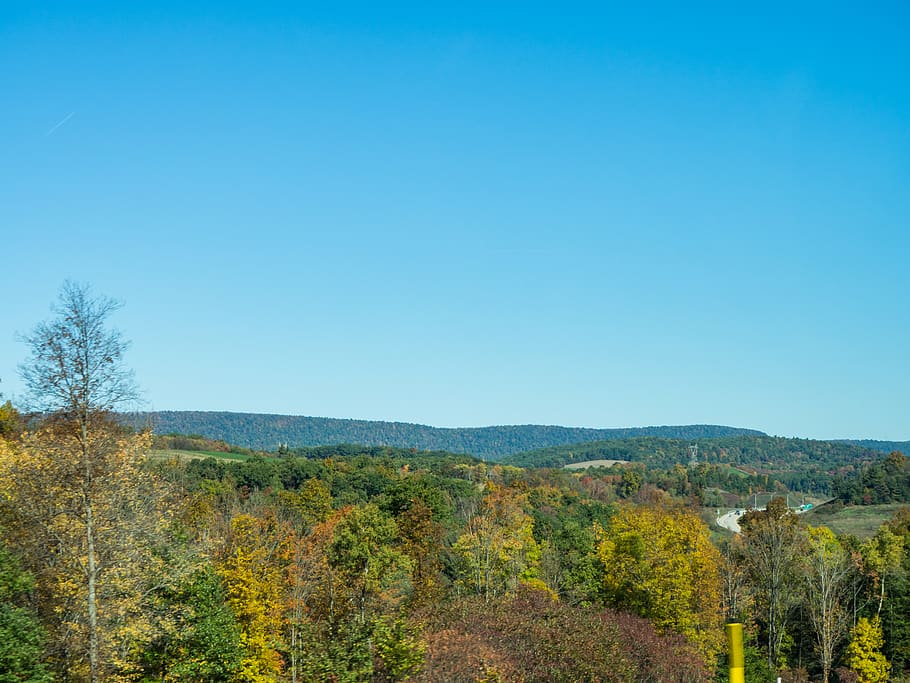 landscape, trees, mountains, leaves, blue sky, plant, beauty in nature HD wallpaper