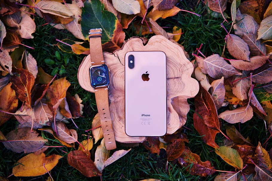 tech, apple, iphone, nature, fall, autumn, leaf, plant part, HD wallpaper