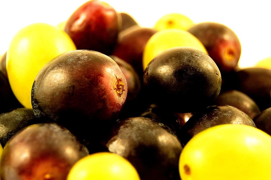 grape, fresh, fruit, nature, sweet, food, food and drink, healthy eating HD wallpaper