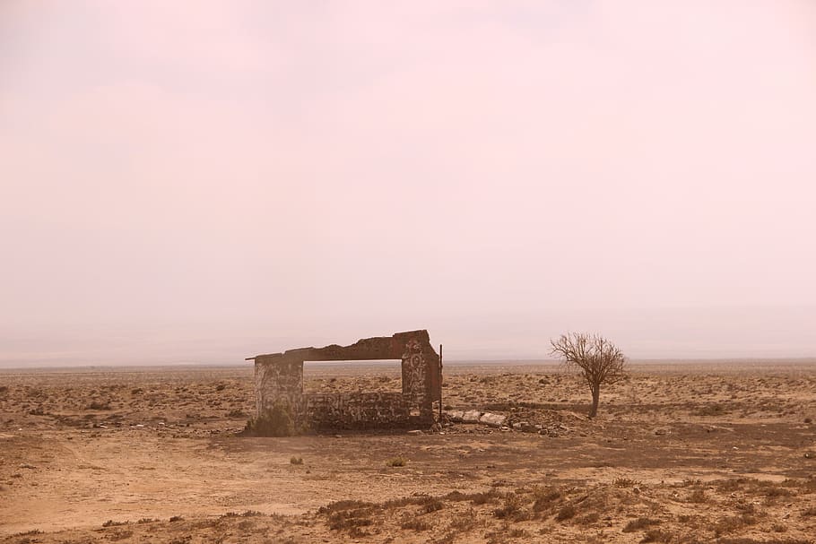 chile, atacama desert, dry, tree, ruin, landscape, window, sun HD wallpaper