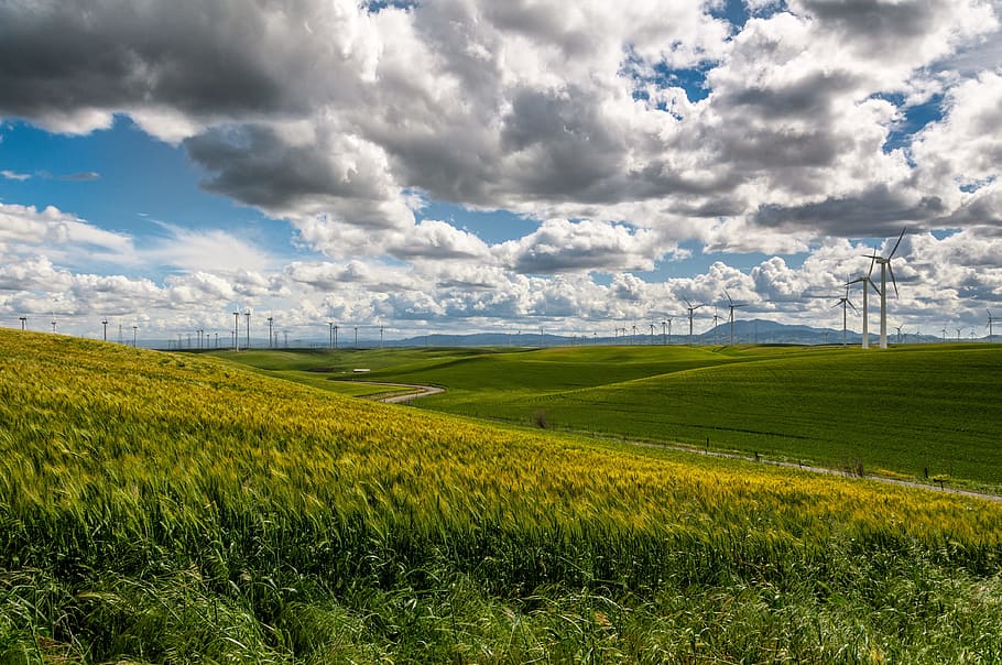 cloud, cloudy, sky, green, landscape, energy, wind, windmill HD wallpaper