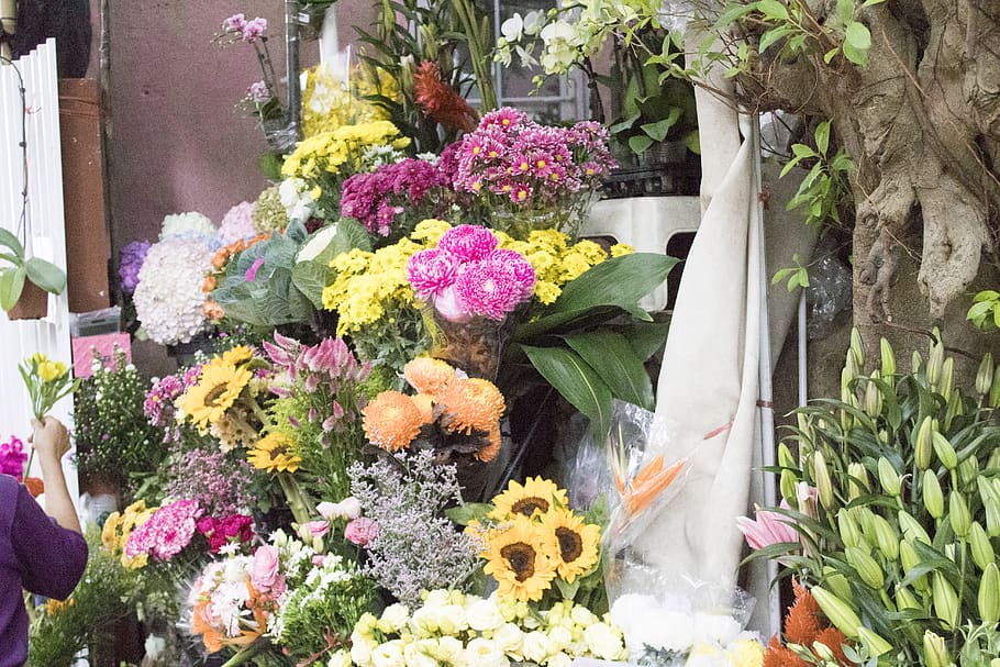 Flower Market in Hongkong