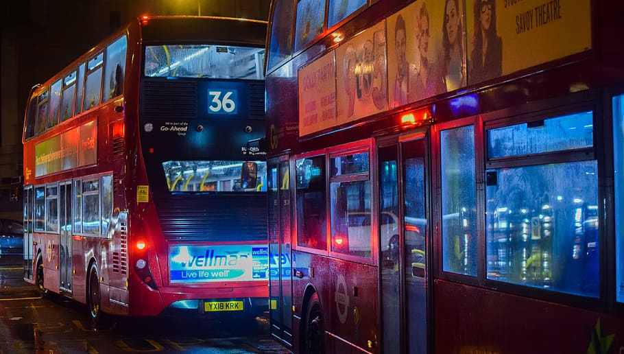 two red buses on road at night, transportation, vehicle, double decker bus HD wallpaper