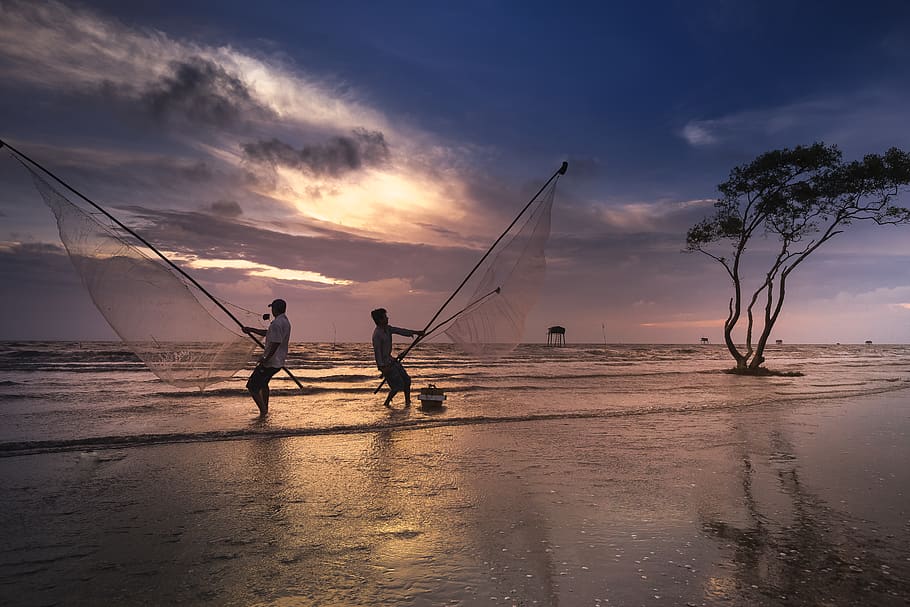 Two Men Holding Nets, backlit, beach, dawn, dusk, evening, fishermen HD wallpaper